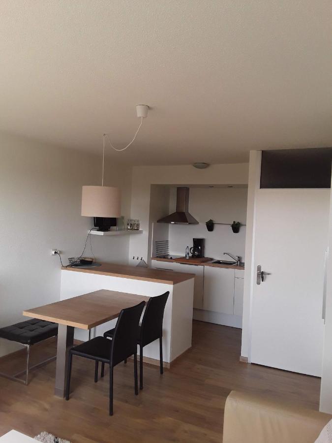 Vakantiestudio De Zeeparel דה פאן מראה חיצוני תמונה